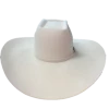 American Hat Company 20x Brick Crown Felt Hat
