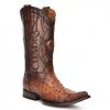 Cuadra Men's Ostrich Chihuahua Toe Pointed Cowboy Boots - Flame Honey MENS